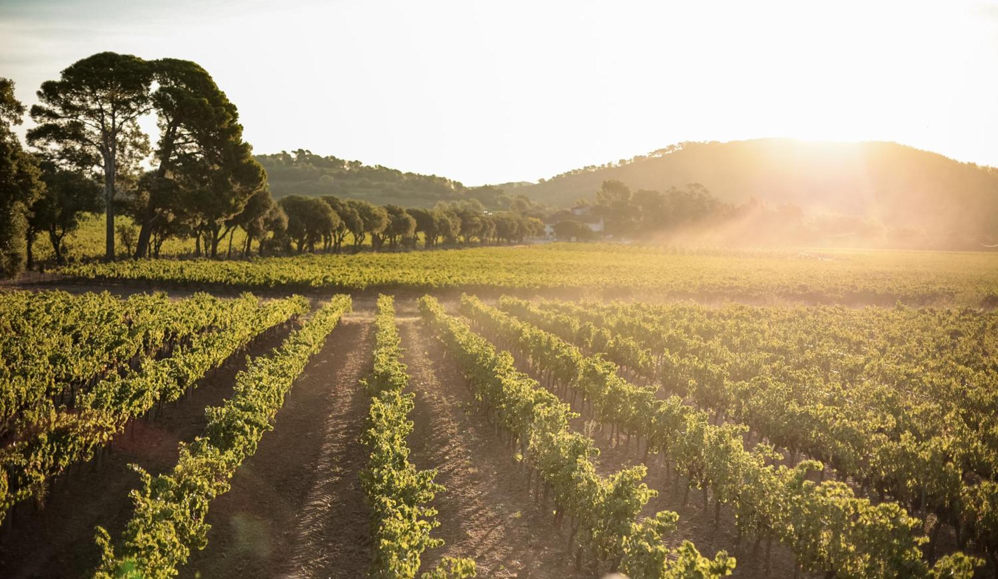 Domaine De Sigalous