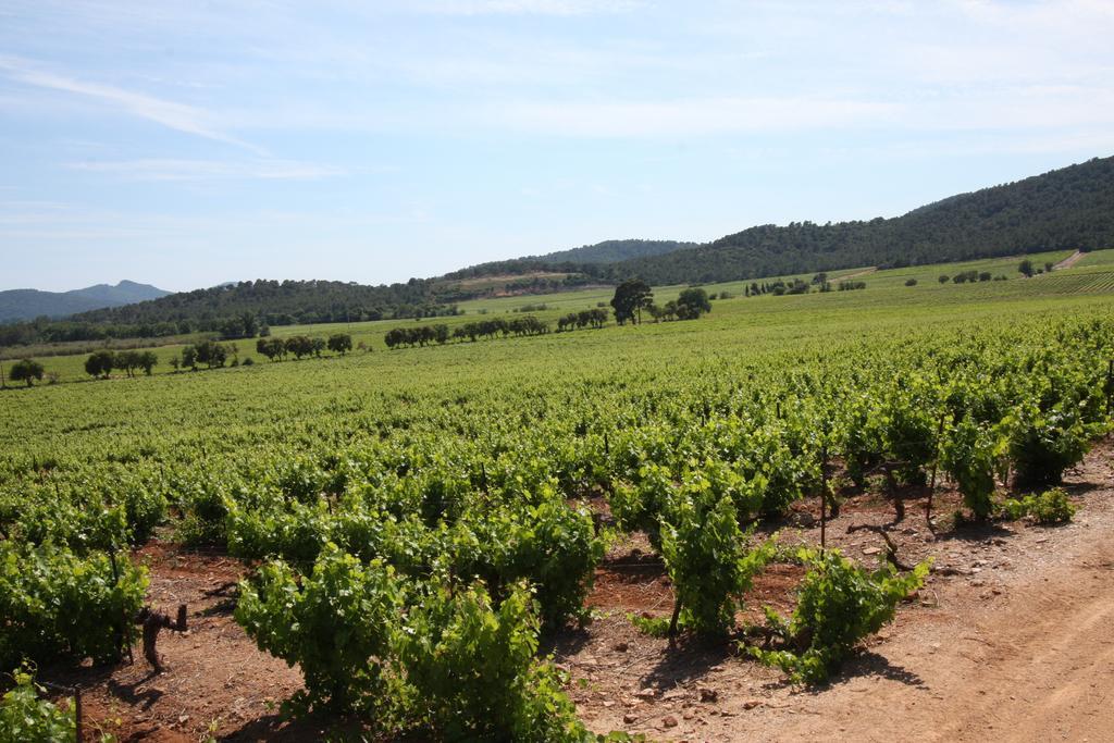 Domaine De Sigalous Сasa de vacaciones La Crau